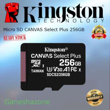Kingston MicroSD Card Canvas Select Plus 256GB Without Adapter