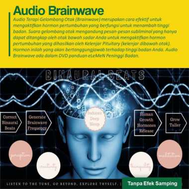 Audio CD Terapi Gelombang Otak Peninggi Badan Elemen
