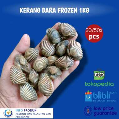 Kerang Dara/Darah Segar Kemasan 1 Kg
