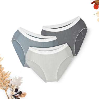 Wimiu 3PCS Celana Dalam Wanita CD Wanita Panty Wanita Underwear Wanita Midi Renda Premium 300040 Mul