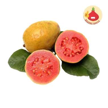 JAMBU BIJI MERAH/JAMBU BIJI/JAMBU BIJI MERAH SEGAR 500Gram