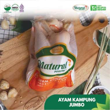 Ayam Potong Kampung Utuh Jumbo Asli Natural Poultry 900gr - 1Kg