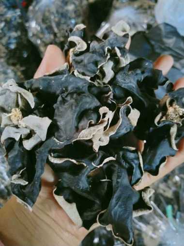 JAMUR KUPING KERING SUPER 1kg