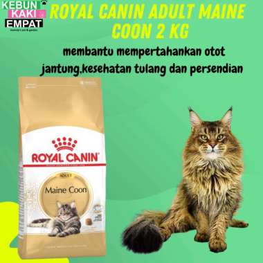 Royal Canin Maine Coon Adult 2 kg makanan kering kucing ras maine coon