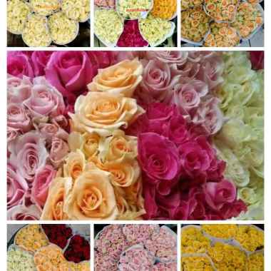 Bunga Mawar Setara Import. Bunga Segar. 20 tangkai salem, peach
