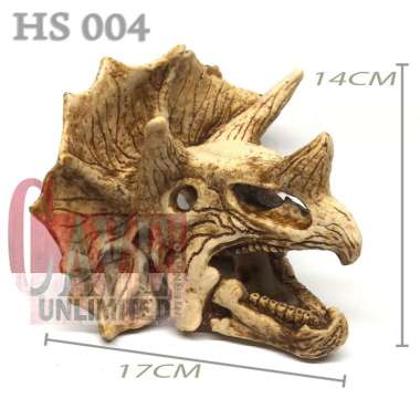 HS013 HIDINGCAVE SKULL SKELETON TENGKORAK KERANGKA FOSIL HEWAN JURRASIC DINOSAURUS TRICERATOPS GOA R