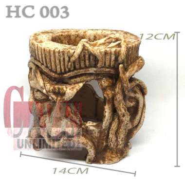 HS013 HIDINGCAVE SKULL SKELETON TENGKORAK KERANGKA FOSIL HEWAN JURRASIC DINOSAURUS TRICERATOPS GOA R