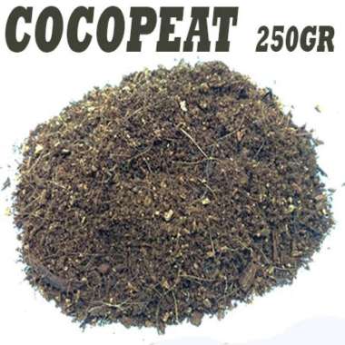 cocopeat dolomit zeolit alas hewan gecko tarantula insecta reptile COCOPEAT