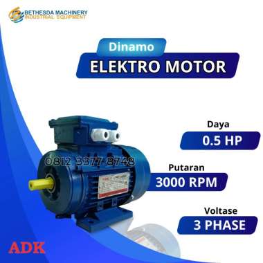 Mesin Dinamo Motor 0.5 Hp 370 Watt 2 Pole B3 3000 RPM 3 PHASE - Mesin Dinamo motor