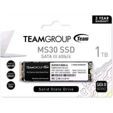 Team Group MS30 SSD 1TB M.2 2280 SATA III