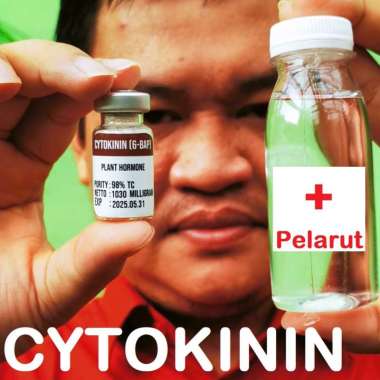 Hormon Cytokinin Sitokinin 6-BAP Murni Serbuk Powder Botol Vial Steril