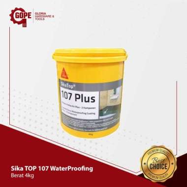 SIKA 107 PLUS @ 4 KG