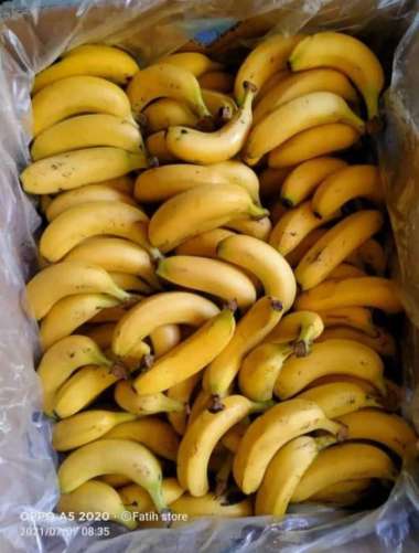 pisang sunpride 1 dus isi 80-100
