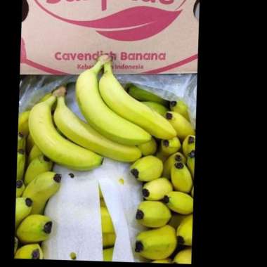 pisang sunpride 1 dus isi 60-80