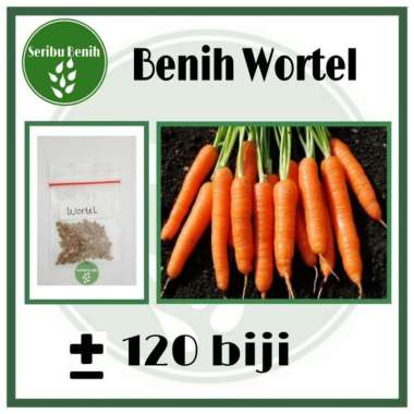 120 Benih Wortel Kuroda EW Select - Bibit Sayuran Repack [ Seribu ]
