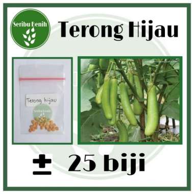 25 Benih Terong Hijau Tibet Sayuran Unggul - Bibit Repack [ Seribu ]