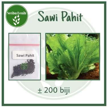 200 Benih Sawi Pahit Majapahit - Bibit Sayuran Repack [ Seribu ]