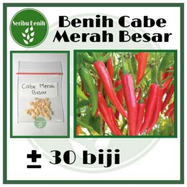 30 Benih Cabe Merah Besar Unggul SIMPATIK Tahan Virus-Bibit Seed Tanaman Berkualitas Ecer [SERIBU]