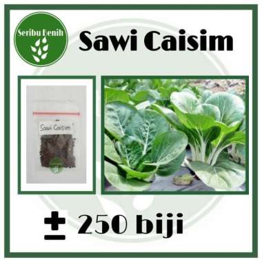 250 Benih Sawi Caisim Shinta Manis - Bibit Sawi Repack [ Seribuan ]