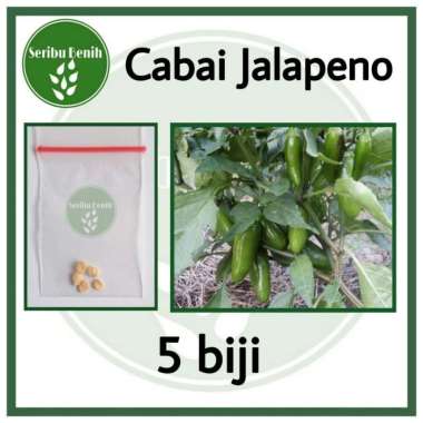 5 Benih Cabe Jalapeno Fanatic - Bibit Cabai Known You Seed Tanaman Sayur Repack [ SERIBU ]