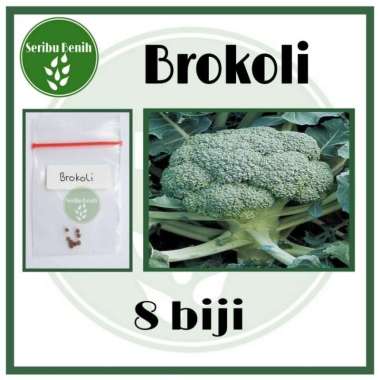 8 Benih Brokoli Hijau Green Super Unggul - Bibit Sayur Repack [Seribu]