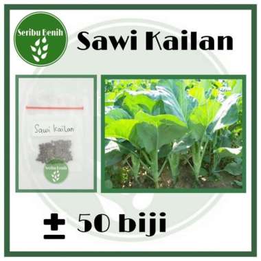 60 Benih Sawi Kailan Known You Seed- Bibit Repack Termurah [ Seribu ]