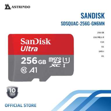 Sandisk Ultra Micro SDXC 256 GB (SDSQUAC-256G-GN6MN)