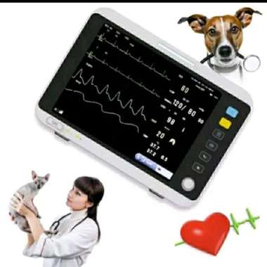 BECKMAN MEC 1200 (Vetenery ) 12.inch color patient Monitor ECG-NIBP-SPO2-TEMP