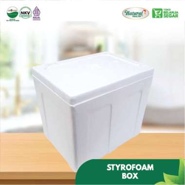 Styrofoam Box Mini 20x18x15 Cm