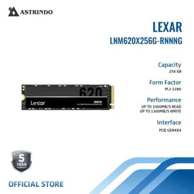 Lexar SSD 256GB NM620 M.2 2280 NVMe (LNM620X256G-RNNNG)