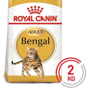 Royal Canin Bengal Adult 2kg - Makanan Kucing