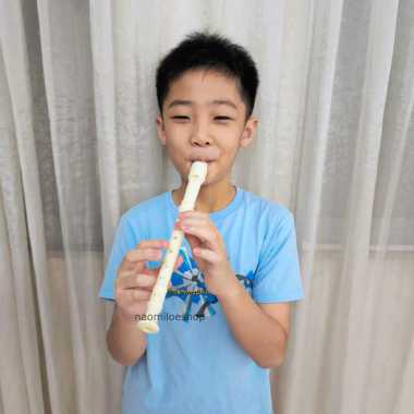 Suling anak Mainan Alat musik tiup seruling suling recorder