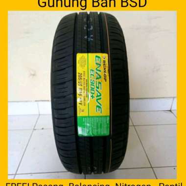 Ban Dunlop EC300+ 205/55 R16