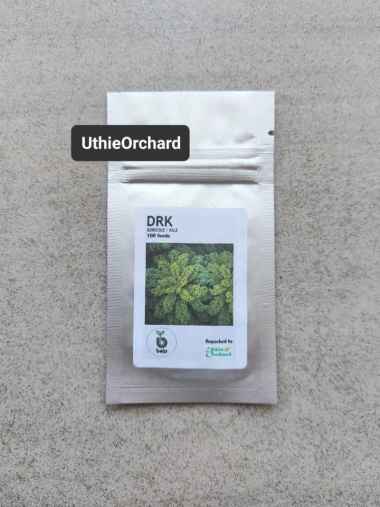 Benih Bejo Seed - Kale Curly DRK F1 Kemasan 100 Seeds