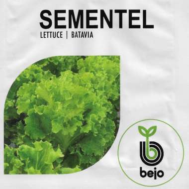Benih Bejo Seed - Selada Batavia Sementel Kemasan 100 pills