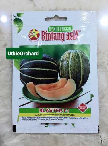 Benih Bintang Asia - Blewah Blaster F1 Kemasan 1 gr
