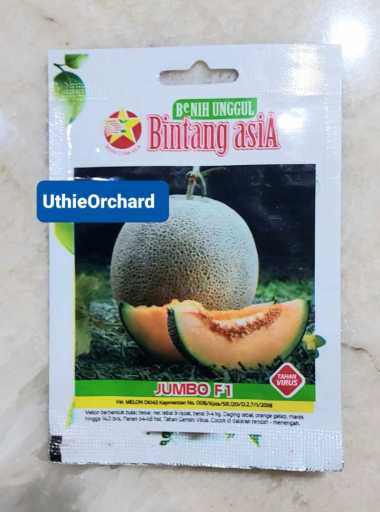 Benih Bintang Asia - Rock Melon Jumbo F1 Kemasan 0,5 gr