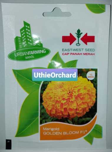 Benih Panah Merah - Bunga Marigold Golden Bloom F1