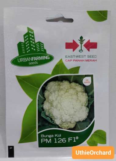 Benih Panah Merah - Bunga Kol PM 126 F1