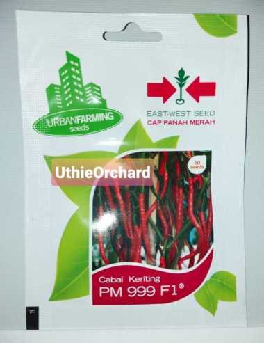 Benih Panah Merah - Cabe Keriting PM 999 F1