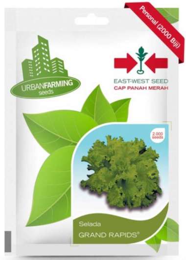 Benih Panah Merah - Selada Grand Rapids