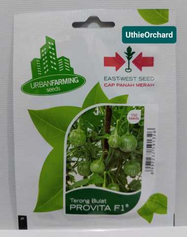 Benih Panah Merah - Terong Lalab/Lalap Bulat Provita F1