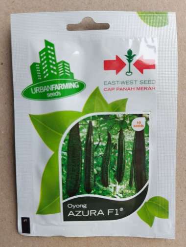 Benih Panah Merah - Oyong Azura F1