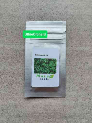 Mara Seeds - Fenugreek (Kelabat/Klabet) (70 Seeds)