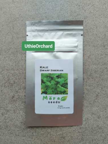 Mara Seeds - Kale Dwarf Siberian Improved (125 Seeds)