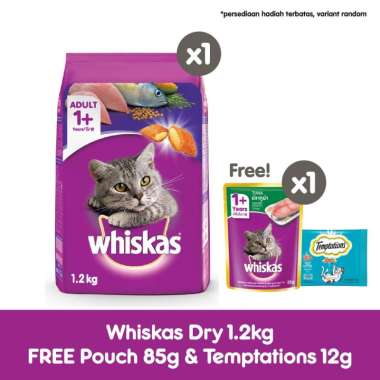 Jual Makanan Kucing Whiskas Online Terbaru September 2021