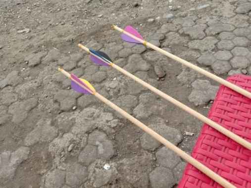 Jual Anak Panah Dan Busur Panah Terbaru - Harga Murah | Blibli.com