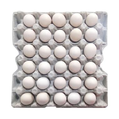 Jual Sajira Farm Telur Asin Matang Perbutir Online