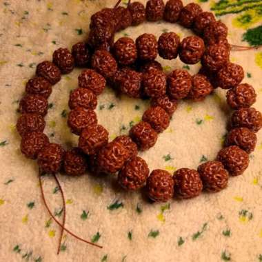 GELANG JENITRI GENITRI RUDRAKSHA SUPER GOOD