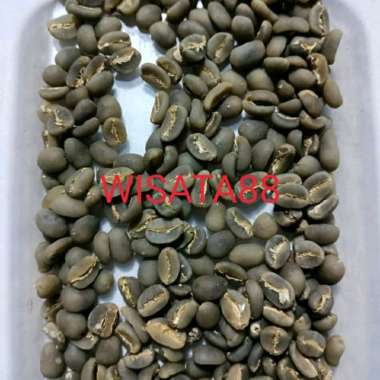 Kopi Aceh Gayo Arabica Luwak liar 100 gr Kopi bubuk Premium Arabica